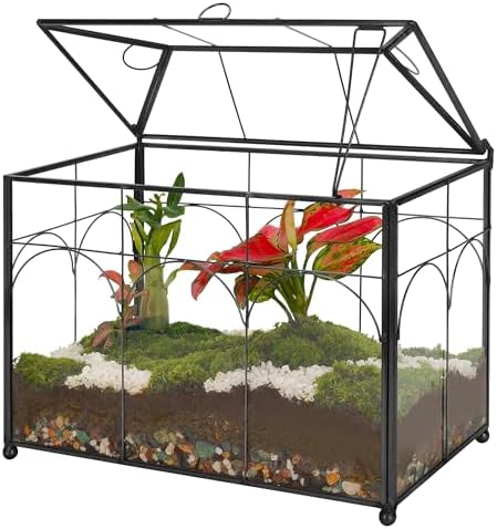 REDHUGO Glass Planter Terrarium with Lid, Indoor Display Box, Black by REDHUGO