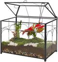 REDHUGO Glass Planter Terrarium with Lid, Indoor Display Box, Black by REDHUGO