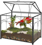 REDHUGO Glass Planter Terrarium with Lid, Indoor Display Box, Black by REDHUGO