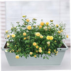 balacoo Large Rectangular Vegetable Planter with Drainage Saucer, Medium 43cm Window Herb Garden Pot Set of 4 in Gray, Sky, Terracotta, and Light Green for Indoor Balcony Gardening - Image 6