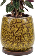 10.3 Inch Ceramic Glaze Plant Pot with Saucer, Flower Pots with Drainage Hole Mesh Net (Spot Yellow) by Unknown