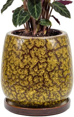 10.3 Inch Ceramic Glaze Plant Pot with Saucer, Flower Pots with Drainage Hole Mesh Net (Spot Yellow) by Unknown