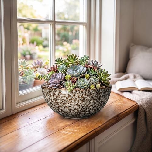 Bowl Planter, 8 Inch Ceramic Succulent Pots, White Leopard - Image 6