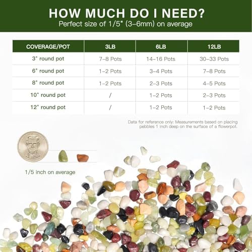 NUPICK 12 lbs Pebbles for Indoor Plants, 1/5 Inch Pea Gravel for Fish Tank - Image 6