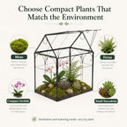 Large Tall Plant Greenhouse Terrarium Glass with Lid, 8.7"X5.9"X10.6" Inches Indoor Tabletop Orchid Succulent Cacti Terrarium Kit NA (House Black A) - Image 2