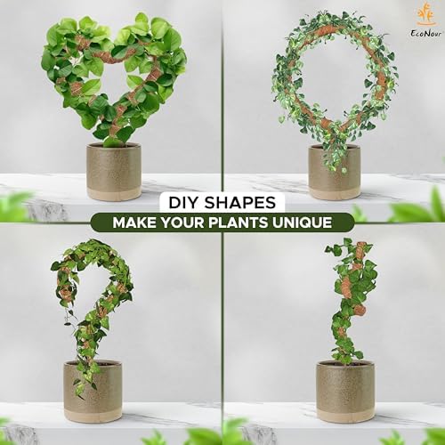 EcoNour Tall Moss Pole for Plants (2-Pack) 63-Inch | Large Monstera Plant Support for Climbing and Growth | Elevate Your Indoor Garden | Tall Plant Support for Indoor Potted Plants to Grow Upwards - Image 2