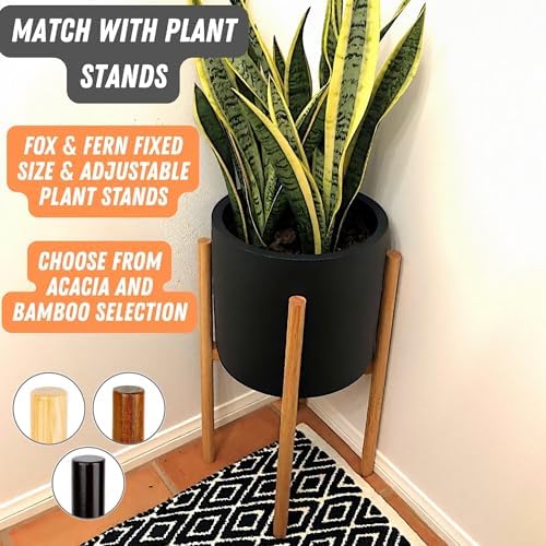 Fox & Fern Large Planter for Indoor or Outdoor, Matte Black, 10 Inch - Image 7