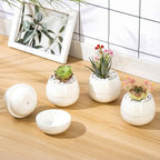 Willowy 3.5 Inch Small Succulent Pots - 3pk, Mini/Small White Ceramic Succulent Pots - No Plants Included - Image 6