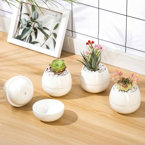 Willowy 3.5 Inch Small Succulent Pots - 3pk, Mini/Small White Ceramic Succulent Pots - No Plants Included - Image 6