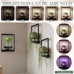3 Pack Wall Plant Holders with Remote Grow Lights, Indoor Plants Holders, Plants Shelves Hanging Planters, Wall Mounted Framed Plant Holder for Indoor Living Room Decor - Image 5