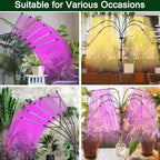 Mefflypee Grow Lights for Indoor Plants, LED Grow Light Stand, Red Blue Yellow Full Spectrum Plant Lamp with Adjustable Tripod, Color Changing Dimmable Vegetative Lamp with Auto On Off Timer (Type A) - Image 6