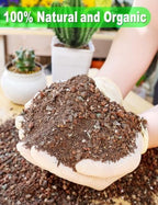 TOYPOPOR Succulent Soil, Cactus Potting Mix 12.5 Pounds/10QTS, High Drainage, Pre-Mixed Ready to Use for All Succulent Varieties, Indoor Plants, Bonsai, Terrarium, Houseplant, 30% Particles 70% Soil - Image 2