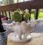 Ceramic Succulent Plant Pot Cactus Plant Pot Flower Pot Container Planter with Drainage Hole Home Office Desk Garden Gift Idea Animal Shaped Flower Pot Cute Vase Pot (4pcs Dinosaur) - Image 7