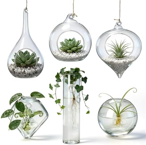 Zopeal 6 Pcs Glass Hanging Planter Wall Vase Terrarium Hydroponic Plants by Zopeal