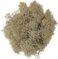 200g Artificial Moss for Crafts, Faux Decorative Plant for DIY Walls Wedding Party Table Centerpieces Home, Natural by LKXHarleya
