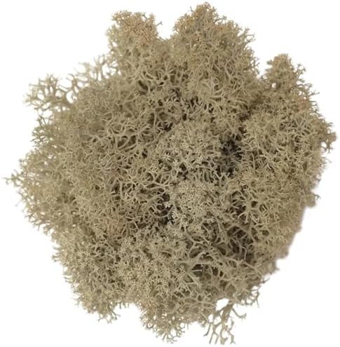 200g Artificial Moss for Crafts, Faux Decorative Plant for DIY Walls Wedding Party Table Centerpieces Home, Natural by LKXHarleya