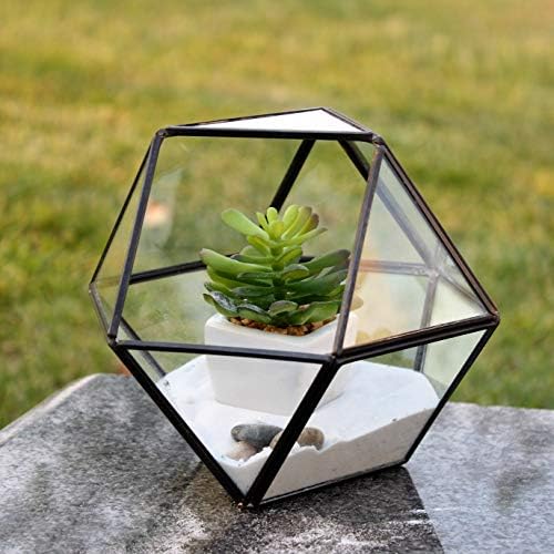 WGV Geometric Planter Terrarium, Width 7.5" Height 6" Clear Glass Gold Frame DIY Succulent air Plant Miniature Fairy Garden Windowsill Tabletop Decor, Globe 1 Piece - Image 6