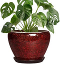 8 Inch Planter - Ceramic Plant Pots with Drainage Hole and Saucer, Decorative Plant Pots for Indoor Plants Outdoor, Round Planter, Modern Office Decor, Gifts for Gardeners, Red Leopard by Thirtypot