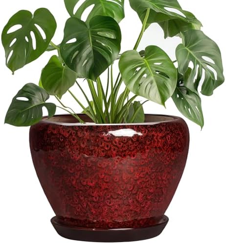 8 Inch Planter - Ceramic Plant Pots with Drainage Hole and Saucer, Decorative Plant Pots for Indoor Plants Outdoor, Round Planter, Modern Office Decor, Gifts for Gardeners, Red Leopard by Thirtypot