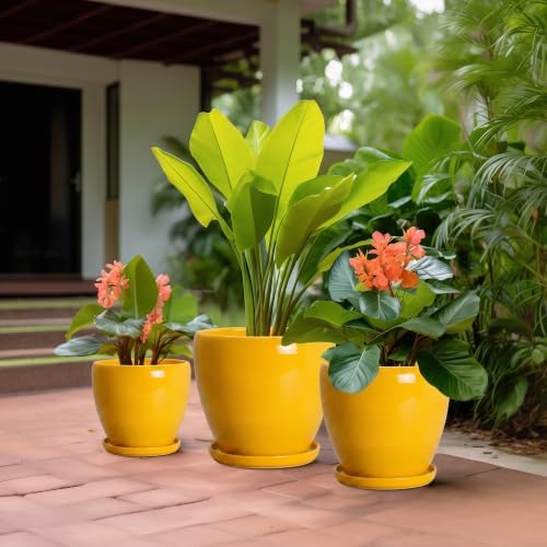 Ceramic 10/8/6 Inch Planter, Ceramic Plant Pots Indoor, Yellow - Image 5