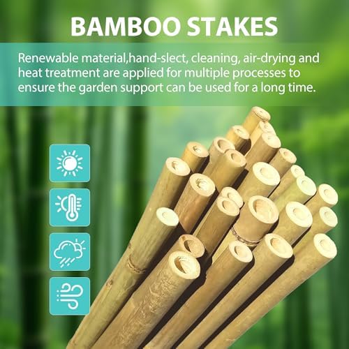 Bamboo Stakes 4.8FT, Approx 5ft Plant Stakes, Garden Stakes 25pcs Specifically Designed for Climbing Plants, Ideal for Tomatoes, Beans, Cucumbers, Peppers, Vines, and More Plant Growth - Image 3