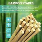 Bamboo Stakes 7FT, 15pcs Garden Stakes Specifically Designed for Climbing Plants, Ideal for Tomatoes, Beans, Cucumbers, Peppers, Vines, and More Plant Growth - Image 3
