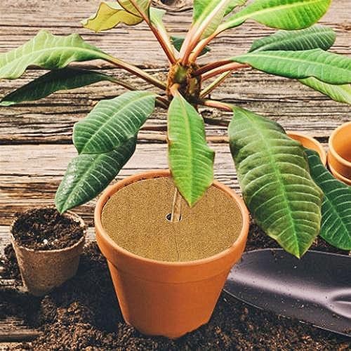 Coconut Mulch Mats, Coconut Fiber Mulch Mats Tree Protector Control 15-40cm Pack of 10(15cm) - Image 5