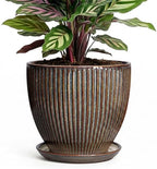 6 Inch Plant Pot, Ceramic Pots for Plants with Drainage Hole and Saucer, Decorative Planters for Indoor Plants, Small Flower Pots, Home Office Room Decor, Gifts for Plant Lovers, Retro Brown by Unknown