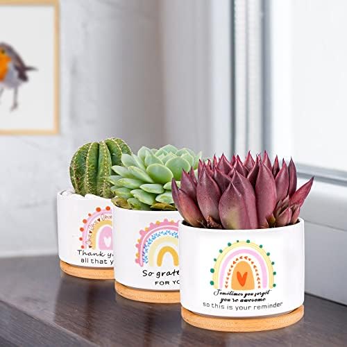SAIWEILAI Ceramic Succulent Planter Pots Set of 9 with Bamboo Trays, Round Painted Plant Pots for Indoor Desktop Decoration, White - Image 5
