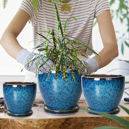 Plant Pots Indoor, Ceramic Planters Pots with Drainage Holes and Saucers, 10+8+6 Inch, Set of 3, Round Large Flower Pots for Indoor Outdoor Plants, Blue - Image 6