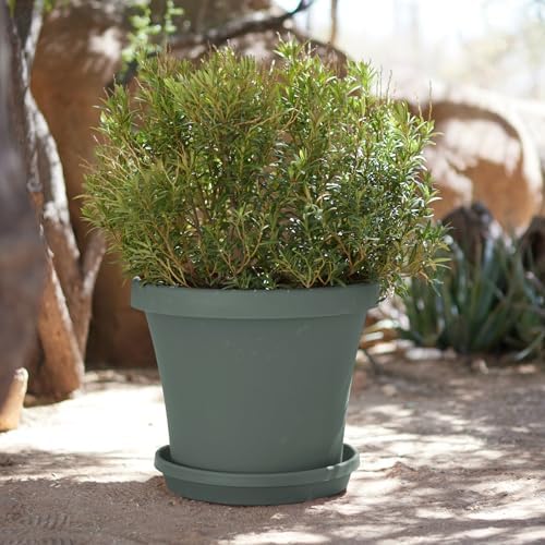 Bloem Terra 24" Plastic Planter, 16 Gallon, Basil, 2-Pack - Image 6