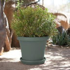 Bloem Terra 24" Plastic Planter, 16 Gallon, Basil, 2-Pack - Image 6