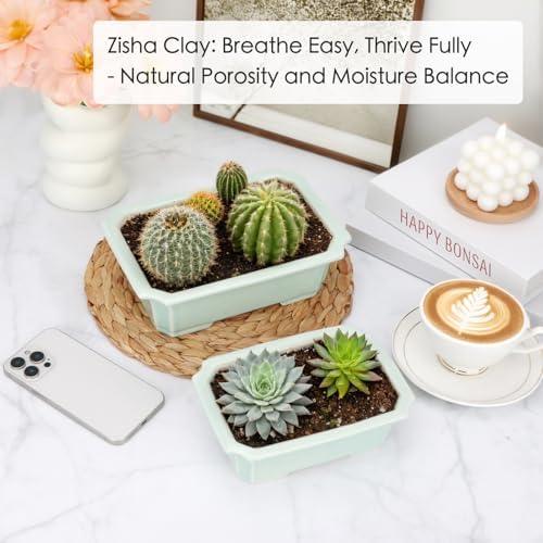 Set of 2 Zisha White Clay Bonsai Pot Glazed Shallow Succulent Planter Light Green - Image 7