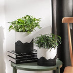 Nihow Ceramic Self Watering Plant Pot for Indoor Plants,6 Inch,White Black - Image 6
