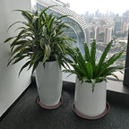 2 Pack of 16 17 inch Plant Saucer (15 inch Base), 2.3" Depth, Plant Trays for Pots, Plastic Plant Saucers for Indoors, Flower Pot Drip Trays for Planter (17", Dark Brown) - Image 3