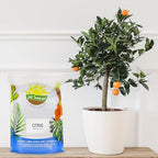Soil Sunrise Citrus Tree Potting Soil Mix (30 Quarts) Special Blend for Indoor Oranges, Lemons, Limes and More - Image 2