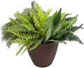 Sunnydaze Ribbed 13-Inch Double-Walled Outdoor Plant Pot - Rust by SunnydazeDecor