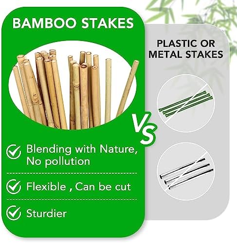 SWANGSA 55 Pack Bamboo Stakes for Plant 5 Feet(57.5inch) Bamboo Sticks for Garden Plant Support Stakes Poles for Tomatoes, Beans, Flowers, Trees, Indoor and Outdoor Climbing Plants - Image 3