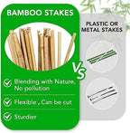 SWANGSA 40 Pack Bamboo Stakes for Plant 3 Feet,Bamboo Sticks Plant Support Garden Stakes Poles with 200pcs Twist Ties for Tomatoes, Beans, Flowers, Potted Plants, Indoor and Outdoor Climbing Plants - Image 3