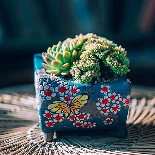 5.5 inch Hand Painted Succulent Cactus Plant Pot Clay Flower Planter Pot with Drainage Hole and Bamboo Trays Pack of 2 (Butterfly in Flowers Green and Red) - Image 5