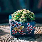 5.5 inch Hand Painted Succulent Cactus Plant Pot Clay Flower Planter Pot with Drainage Hole and Bamboo Trays Pack of 2 (Butterfly in Flowers Green and Red) - Image 5