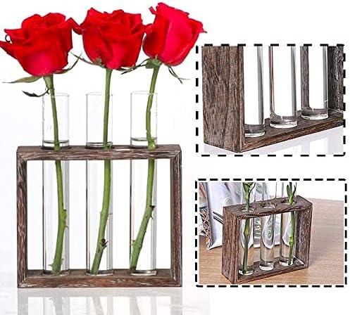 Wall Mounted Hanging Glass Test Tube Planter Propagation Station Glass Vase Rack with Wood Stand, Plant Terrarium Holder for Hydroponics Succulent Air Bamboo Plants with Test Tube - Image 7