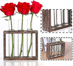 Wall Mounted Hanging Glass Test Tube Planter Propagation Station Glass Vase Rack with Wood Stand, Plant Terrarium Holder for Hydroponics Succulent Air Bamboo Plants with Test Tube - Image 7