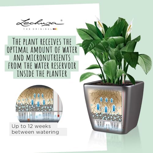 Lechuza Quadro LS 28 Black High Gloss, Self-Watering Square Planter, H10.2 L11 W11 in - Image 7