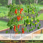 RIFNY Cucumber Trellis for Raised Bed, Garden Trellis 16.5 x 60 Inch, Black - Image 2