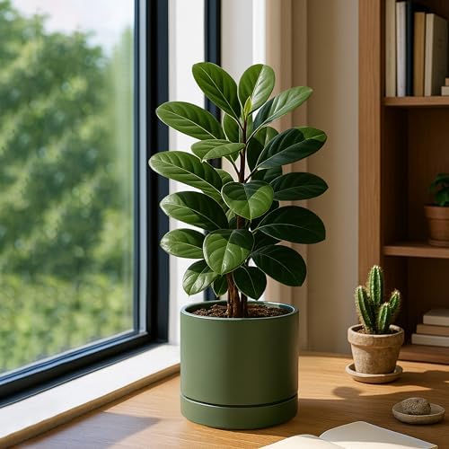 Phoenix Vine 8 Inch Planter Pot with Drainage Hole & Saucer, Deep Water Catch Tray, Straight Cylindrical Round Pot for Plants, Olive, Pack of 1, 23-D-T-1 - Image 2