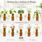 Nacome Owl Plant Propagation Station: Set of 4 Cute Brown Glass Vases - Image 4