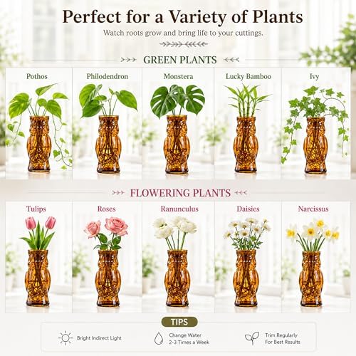 Nacome Owl Plant Propagation Station: Set of 4 Cute Brown Glass Vases - Image 4
