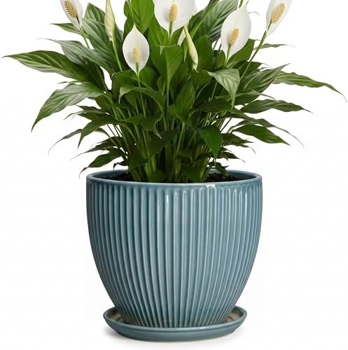 Ceramic Planter, 8 Inch Plant Pot Indoor with Saucer, Glaze Blue by Unknown
