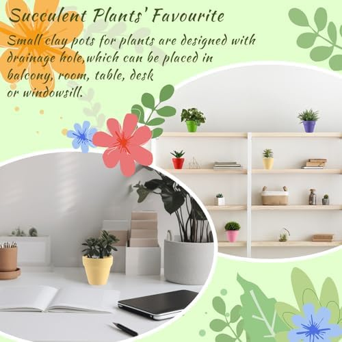 Tioncy 50 Pcs 2 Inch Mini Terracotta Pots, Colored Clay Succulent Pots - Image 5